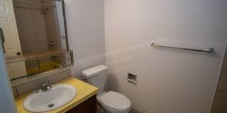 3-Bedroom home in West Fort Collins! Gallery 26