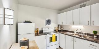 55 West Chestnut Gallery 21