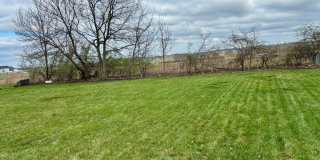 3742 Dorothy Lane Gallery 17