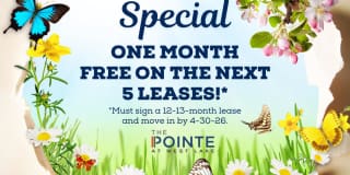 The Pointe at West Lake Gallery 27