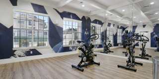 Preston Hollow Gallery 2