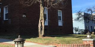 704 N. Monroe Street, Unit#3 Gallery 13