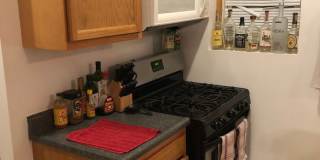 E Patterson 77 ACM Gallery 4