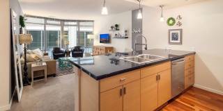 Cosmopolitan Condominiums ~ South Lake Union Gallery 5