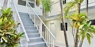 Newly Renovated Units Available Now! Gallery 2
