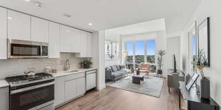 Continuum Gallery 30