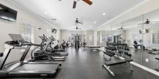 Vintage Retreat Apartments Gallery 26