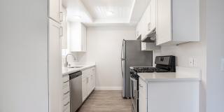 The Ashton Gallery 19