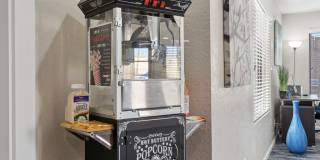 Shorebird Apartments Gallery 11