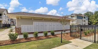 Springs at Buckingham Farms Gallery 37