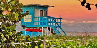 9172 Collins Ave Gallery 29