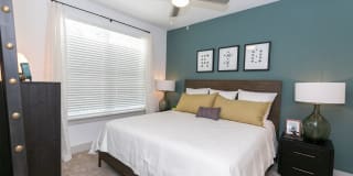 Sugarloaf Grove Gallery 10