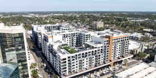 Aster & Links Gallery 1