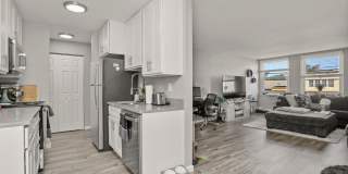 Fully Renovated Modern Apartments Gallery 5