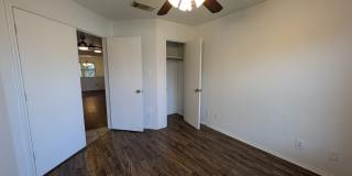 5015 Viking Coral Gallery 20