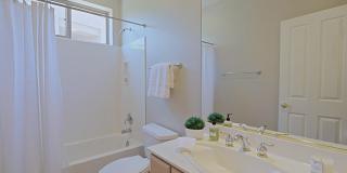 34106 N 66th Way Gallery 27