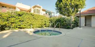 833 Cinnamon Gallery 32