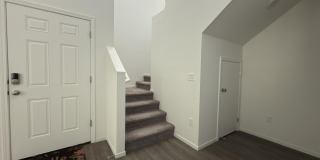 9774 Silver Dollar Lane Gallery 13
