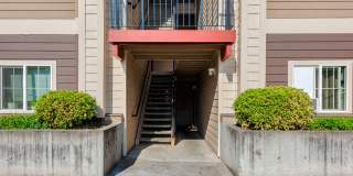 Chelsey Lane Gallery 3