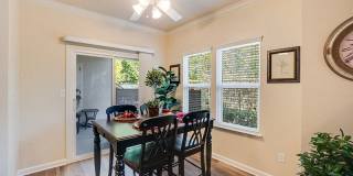 Bella Rose Gallery 14