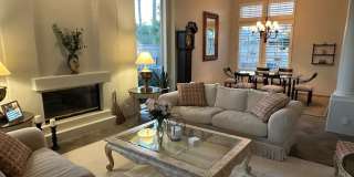 79765 Tangelo Gallery 18