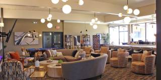 Los Altos Towers Gallery 29