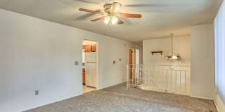 Beautiful 4 Bedroom Split-Level Home – Large Lot in West Fort Collins Gallery 7
