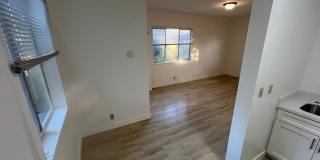 360 Palm Ave Gallery 9