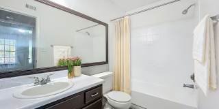 Millenium Cove Gallery 29