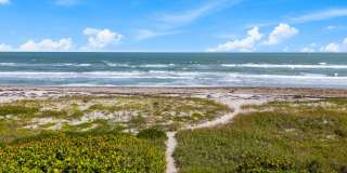 Dolphin Beach Gallery 25