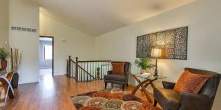 Beautiful 4 Bed, 2 Bath House in SW Fort Collins! Gallery 3