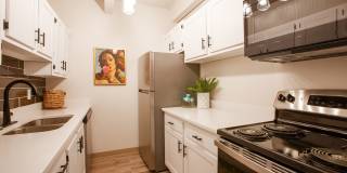 Los Altos Towers Gallery 1