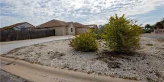 13702 Seahorse Gallery 10