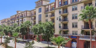 The Orsini Gallery 3