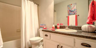 Palmetto Grove Palmetto Grove Gallery 22