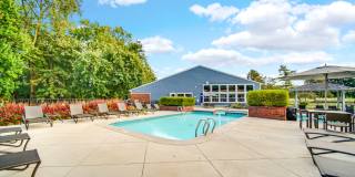 TGM Meadow View Gallery 37