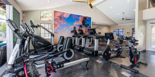 Pointe Niguel Gallery 32