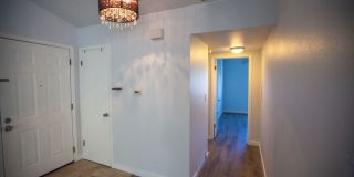 Sun-Filled Top-Floor Gem Near San Bruno Mountain State Park Gallery 3
