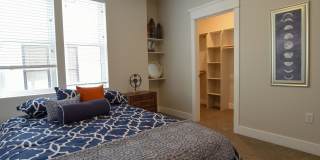 The Bungalows on the Lake - The View Gallery 161