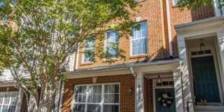 42219 BLACK ROCK Terrace Gallery 1