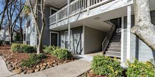 The Dakota at Druid Hills Gallery 12