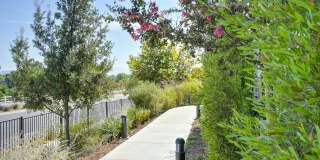 Vela Apartments Gallery 95