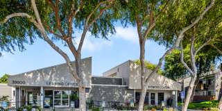 Bidwell Park Fremont Gallery 33
