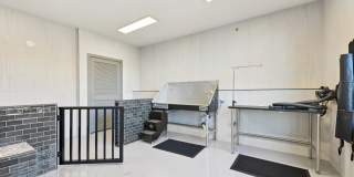 Cortland Midtown East Gallery 21