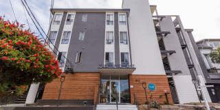 Vue at Piedmont Gallery 10