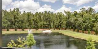 Tapestry Palmera Gallery 74