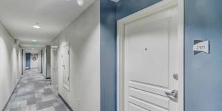 300 West Beech Street - 2101 300 West Beech Street - 2101 Gallery 23