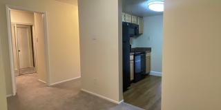 Northgate Gallery 303