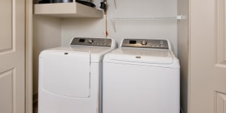 Windsor at West University Gallery 17