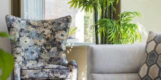 Aria on Cave Creek Gallery 49